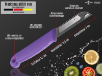 Allzweckmesser 6er Set Obstmesser aus Solingen Gemsemesser Schlmesser mit Extra Scharfer und Prziser Glatter Klinge aus Rostfreiem Edelstahl Kchenmesser Kleines Messer Lila Splmaschinengeeignet 16 cm